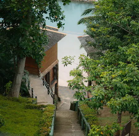 home-large-thumbnail-image